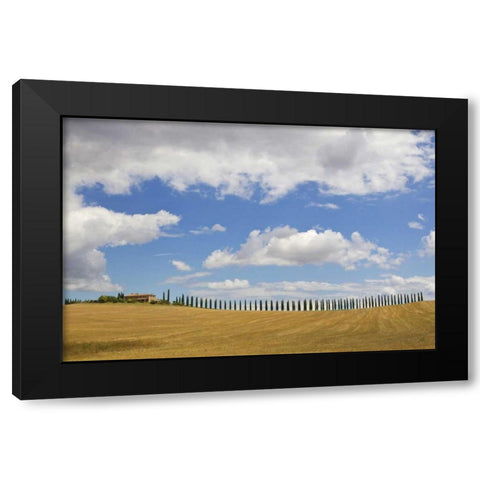 Italy, Tuscany Cypress tree alley and farm house Black Modern Wood Framed Art Print with Double Matting by Delisle, Gilles