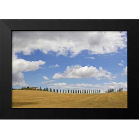 Italy, Tuscany Cypress tree alley and farm house Black Modern Wood Framed Art Print by Delisle, Gilles