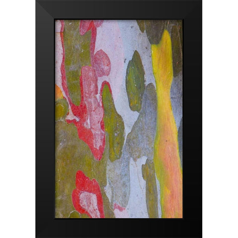 Italy, Tuscany Cypress tree bark patterns Black Modern Wood Framed Art Print by Delisle, Gilles