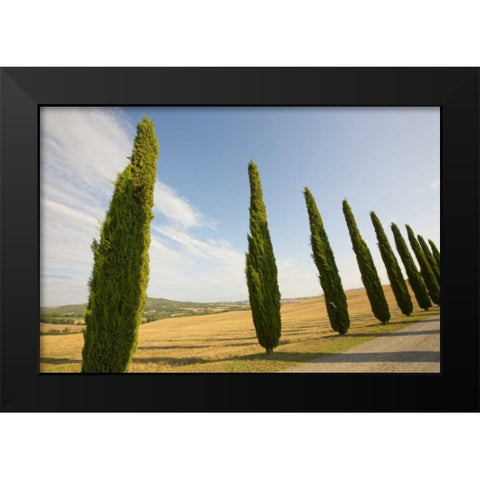 Italy, Tuscany Road and cypress trees Black Modern Wood Framed Art Print by Delisle, Gilles