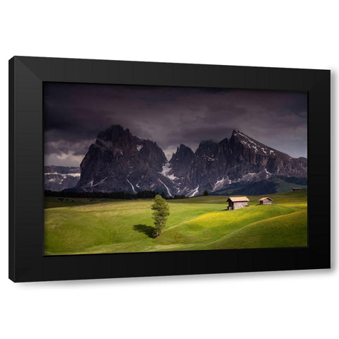 Europe-Italy-South Tirol-Alpine meadows with the Sasso Lungo and Sasso Piatto Mountains Black Modern Wood Framed Art Print with Double Matting by Jaynes Gallery