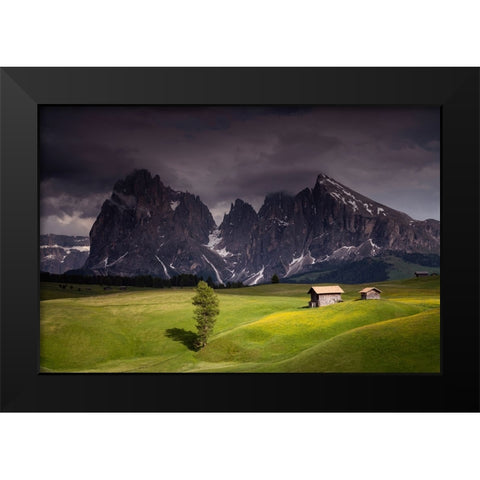 Europe-Italy-South Tirol-Alpine meadows with the Sasso Lungo and Sasso Piatto Mountains Black Modern Wood Framed Art Print by Jaynes Gallery