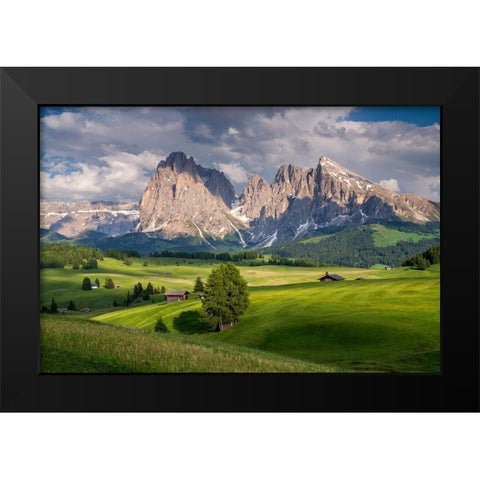 Europe-Italy-South Tirol-Alpine meadows with the Sasso Lungo and Sasso Piatto Mountains Black Modern Wood Framed Art Print by Jaynes Gallery