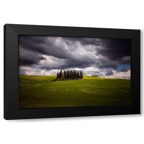 Europe-Italy-Tuscany-Val d Orcia-Cypress grove and farmland Black Modern Wood Framed Art Print by Jaynes Gallery