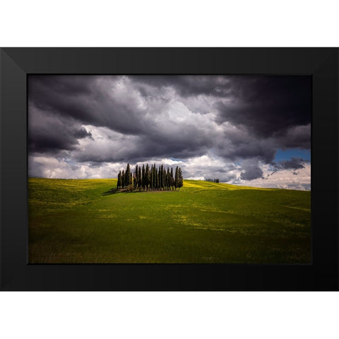 Europe-Italy-Tuscany-Val d Orcia-Cypress grove and farmland Black Modern Wood Framed Art Print by Jaynes Gallery