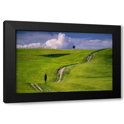 Europe-Italy-Tuscany-Val d Orcia-Cypress tree and winding road in farmland hills Black Modern Wood Framed Art Print by Jaynes Gallery