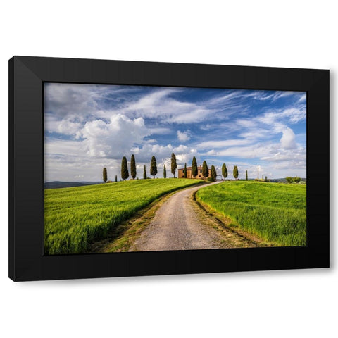 Europe-Italy-Tuscany-Val d Orcia-Road to Il Cipressini farmhouse Black Modern Wood Framed Art Print by Jaynes Gallery