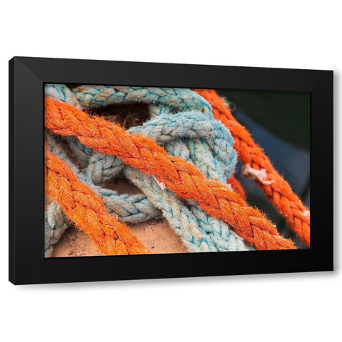 Agrigento Province-Sciacca Ropes on a fishing boat in the harbor of Sciacca Black Modern Wood Framed Art Print with Double Matting by Wilson, Emily