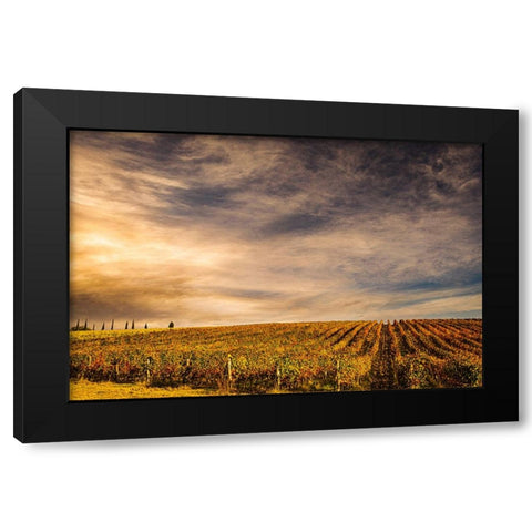 Italy-vineyard Black Modern Wood Framed Art Print with Double Matting by Theodore, George and Marilu