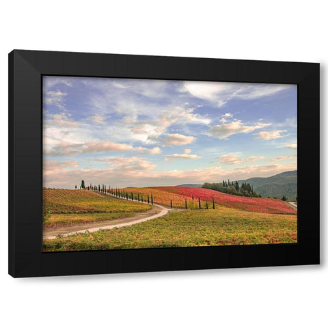 Italy-Tuscany-vineyard Black Modern Wood Framed Art Print by Theodore, George and Marilu