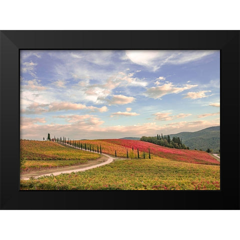 Italy-Tuscany-vineyard Black Modern Wood Framed Art Print by Theodore, George and Marilu