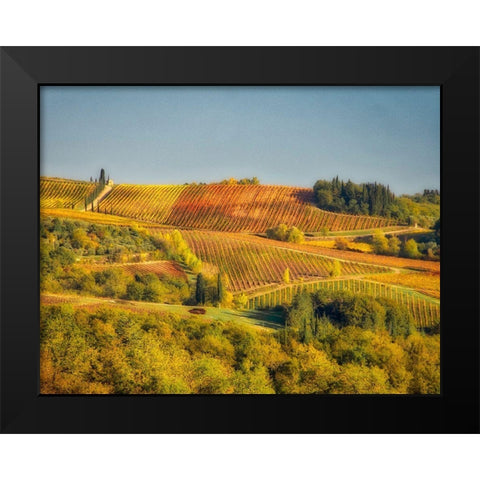 Italy-Chianti Vineyard in autumn in the Chianti region of Tuscany Black Modern Wood Framed Art Print by Eggers, Julie