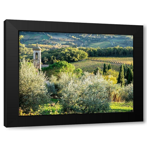 Italy-Chianti Pieve di Santa Maria Novella near Radda in Chianti Black Modern Wood Framed Art Print by Eggers, Julie