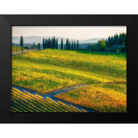 Italy-Chianti Vineyard in autumn in the Chianti region of Tuscany Black Modern Wood Framed Art Print by Eggers, Julie