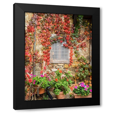 Italy-Chianti Potted pink geraniums and fall colored climbing vine on the exterior stone wall Black Modern Wood Framed Art Print with Double Matting by Eggers, Julie