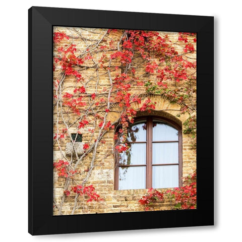 Italy-Chianti Red climbing ivy vine on a stone wall Black Modern Wood Framed Art Print by Eggers, Julie