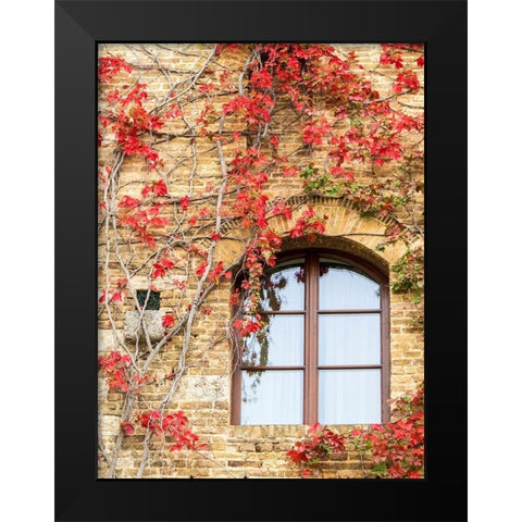 Italy-Chianti Red climbing ivy vine on a stone wall Black Modern Wood Framed Art Print by Eggers, Julie