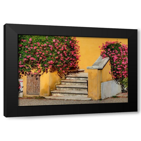 Italy-Tuscany Stairs covered in flowers Black Modern Wood Framed Art Print by Eggers, Julie