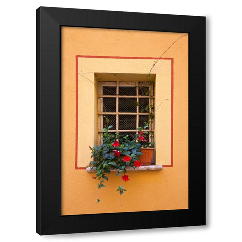 Italy-Tuscany-Montepulciano Potted plant on a windowsill in the hill town of Montepulciano Black Modern Wood Framed Art Print with Double Matting by Eggers, Julie