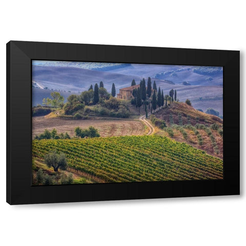 Italy-Tuscany Belvedere House-Olive trees-and vineyards near San Quirico dOrcia Black Modern Wood Framed Art Print by Eggers, Julie