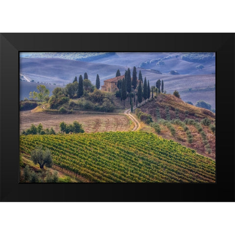 Italy-Tuscany Belvedere House-Olive trees-and vineyards near San Quirico dOrcia Black Modern Wood Framed Art Print by Eggers, Julie