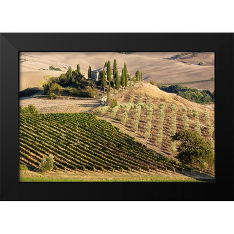 Italy-Tuscany Belvedere House-Olive trees-and vineyards near San Quirico dOrcia Black Modern Wood Framed Art Print by Eggers, Julie