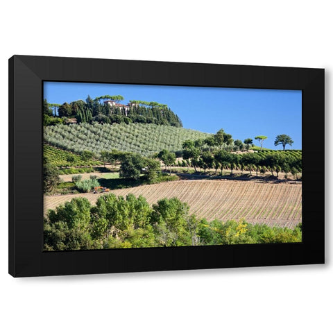 Italy-Tuscany Villa on hillside surrounded with olive trees and vineyard Black Modern Wood Framed Art Print with Double Matting by Eggers, Julie
