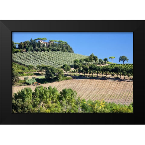 Italy-Tuscany Villa on hillside surrounded with olive trees and vineyard Black Modern Wood Framed Art Print by Eggers, Julie