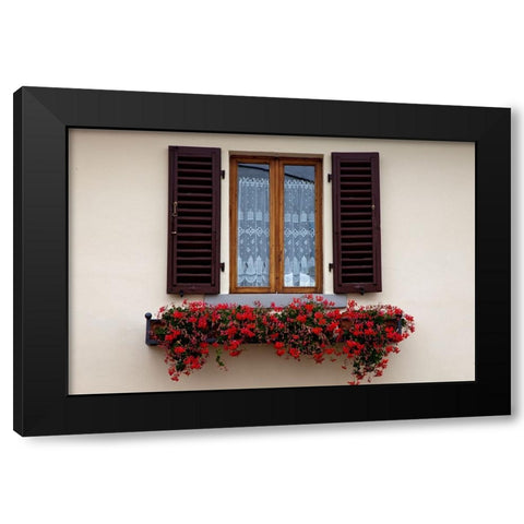 Italy-Radda in Chianti Flower boxes with red geraniums below a window with shutters Black Modern Wood Framed Art Print with Double Matting by Eggers, Julie