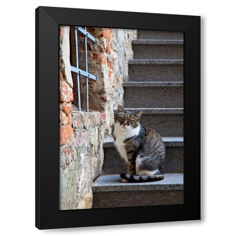 Italy-Tuscany-Vertine Exploring the small hillside town of Vertine in the Chianti region of Tuscany Black Modern Wood Framed Art Print with Double Matting by Eggers, Julie
