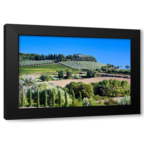 Italy-Tuscany Villa on hillside surrounded with olive trees and vineyard Black Modern Wood Framed Art Print by Eggers, Julie