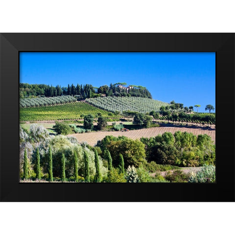 Italy-Tuscany Villa on hillside surrounded with olive trees and vineyard Black Modern Wood Framed Art Print by Eggers, Julie