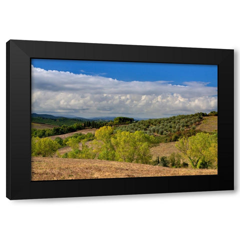 Italy-Tuscany Tuscan landscape Black Modern Wood Framed Art Print with Double Matting by Eggers, Julie