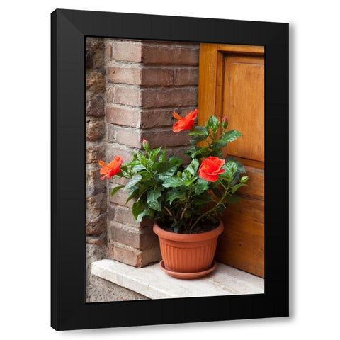 Italy-Tuscany-San Gimignano Red hibiscus flower in a pot on the doorstep of a home in San Gimignano Black Modern Wood Framed Art Print with Double Matting by Eggers, Julie