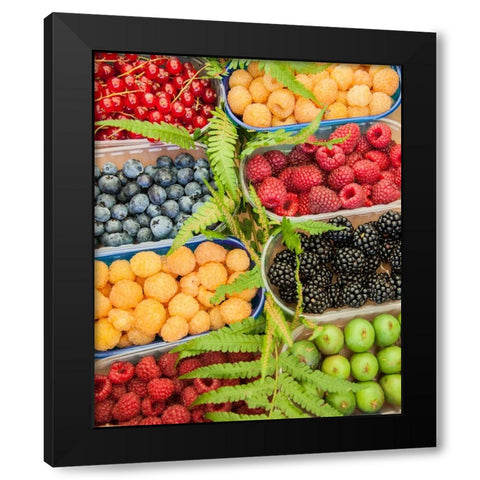 Italy-Venice A variety of berries on display and for sale in the Rialto Market Black Modern Wood Framed Art Print with Double Matting by Eggers, Julie