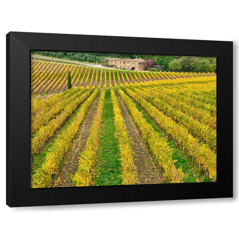 Italy-Tuscany Colorful vineyard in autumn Black Modern Wood Framed Art Print with Double Matting by Eggers, Julie