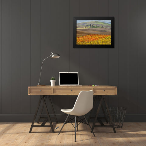 Italy-Tuscany Colorful vineyard in autumn Black Modern Wood Framed Art Print by Eggers, Julie