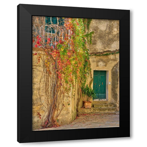 Italy-Tuscany-Monticchiello Red ivy covering the walls of the buildings Black Modern Wood Framed Art Print by Eggers, Julie