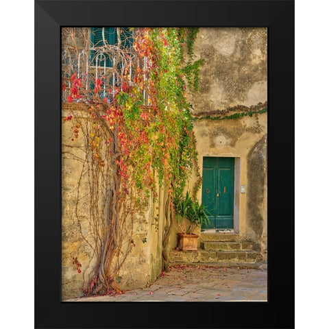 Italy-Tuscany-Monticchiello Red ivy covering the walls of the buildings Black Modern Wood Framed Art Print by Eggers, Julie