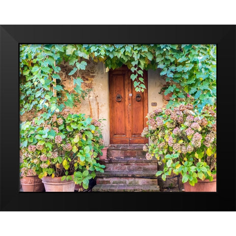 Italy-Tuscany-Pienza Doorway surrounded by flowers Black Modern Wood Framed Art Print by Eggers, Julie
