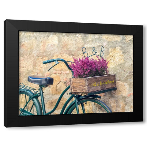 Italy-Tuscany-Monticchiello Bicycle with bright pink heather in the basket Black Modern Wood Framed Art Print with Double Matting by Eggers, Julie