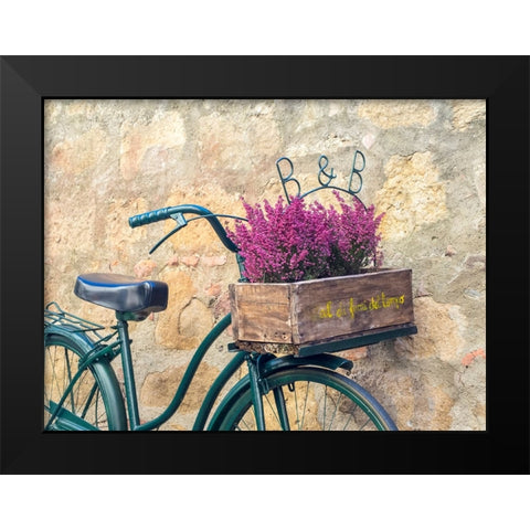 Italy-Tuscany-Monticchiello Bicycle with bright pink heather in the basket Black Modern Wood Framed Art Print by Eggers, Julie