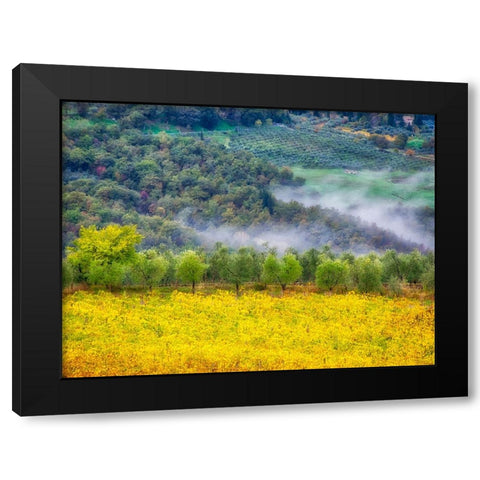 Italy-Tuscany Autumn morning with fog in the Tuscan valley Black Modern Wood Framed Art Print by Eggers, Julie