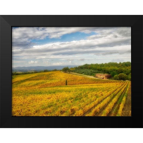 Italy-Tuscany Colorful vineyard in autumn Black Modern Wood Framed Art Print by Eggers, Julie