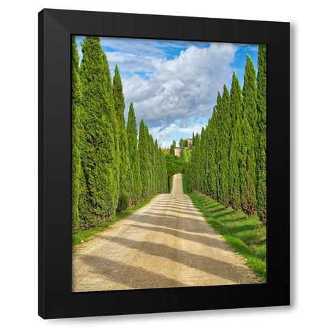 Italy-Tuscany Road lined with Italian cypress leading to a villa Black Modern Wood Framed Art Print by Eggers, Julie