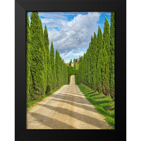 Italy-Tuscany Road lined with Italian cypress leading to a villa Black Modern Wood Framed Art Print by Eggers, Julie