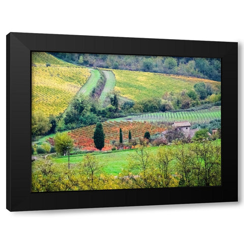Italy-Tuscany View of the Tuscan countryside Black Modern Wood Framed Art Print by Eggers, Julie