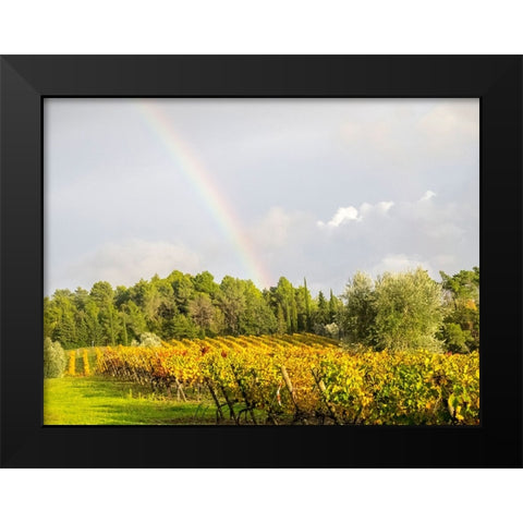 Italy-Tuscany Colorful vineyard and rainbow in autumn Black Modern Wood Framed Art Print by Eggers, Julie