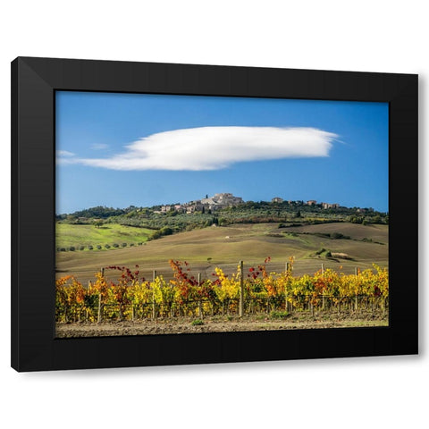 Italy-Tuscany Colorful vineyards in autumn with blue skies and clouds Black Modern Wood Framed Art Print by Eggers, Julie