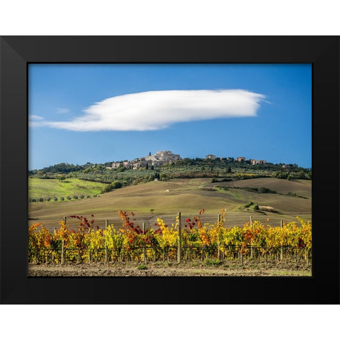 Italy-Tuscany Colorful vineyards in autumn with blue skies and clouds Black Modern Wood Framed Art Print by Eggers, Julie